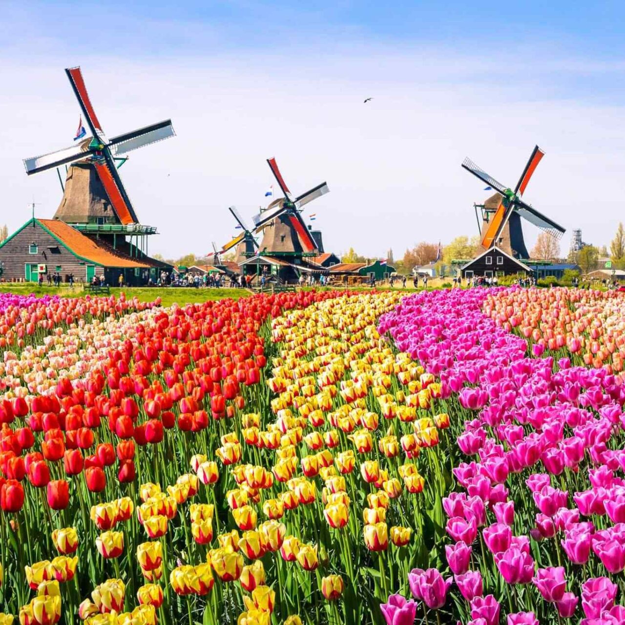 https://lilacmoments.com/wp-content/uploads/2018/09/destination-netherlands-01-1280x1280.jpg
