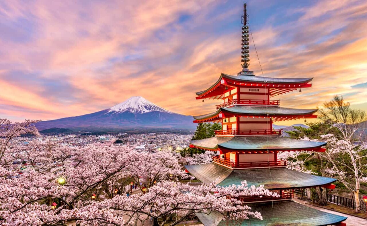 Japan Community Blossoms & Bonds