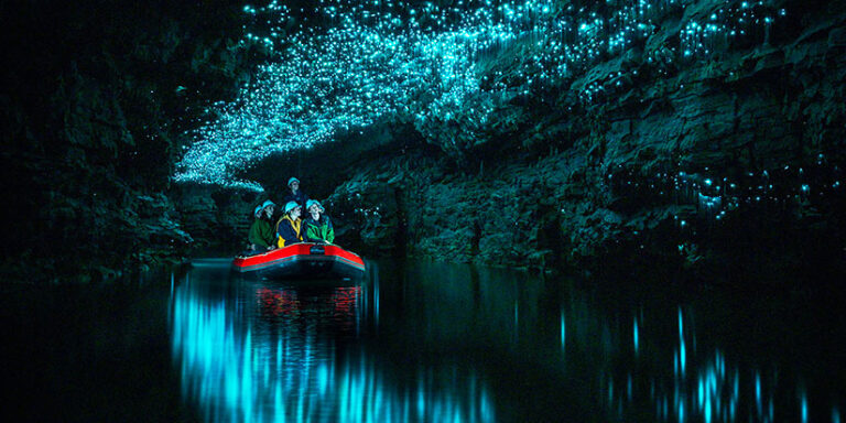 https://lilacmoments.com/wp-content/uploads/2025/08/ft-blog-exploring-waitomo-glowworm-caves-768x384.jpg