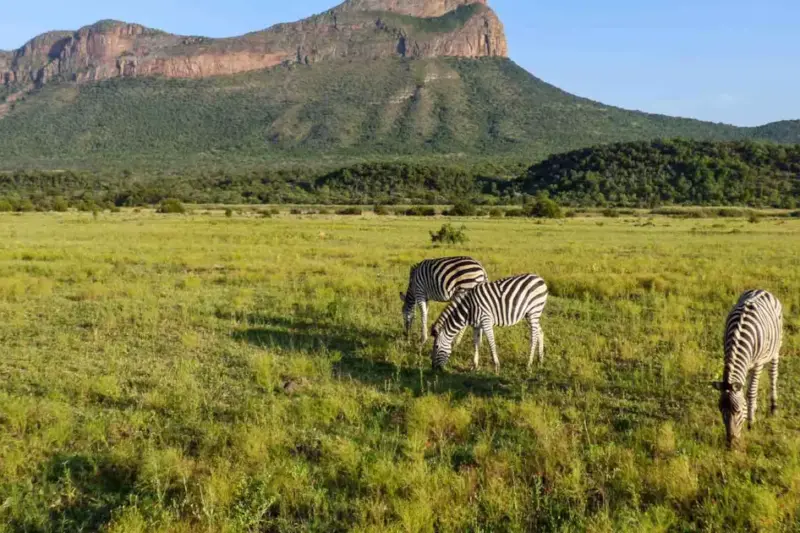 Africa Signature Journey