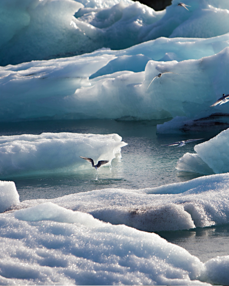 Untitled design (41) https://lilacmoments.com/wp-content/uploads/2025/11/Untitled-design-41-768x960.png