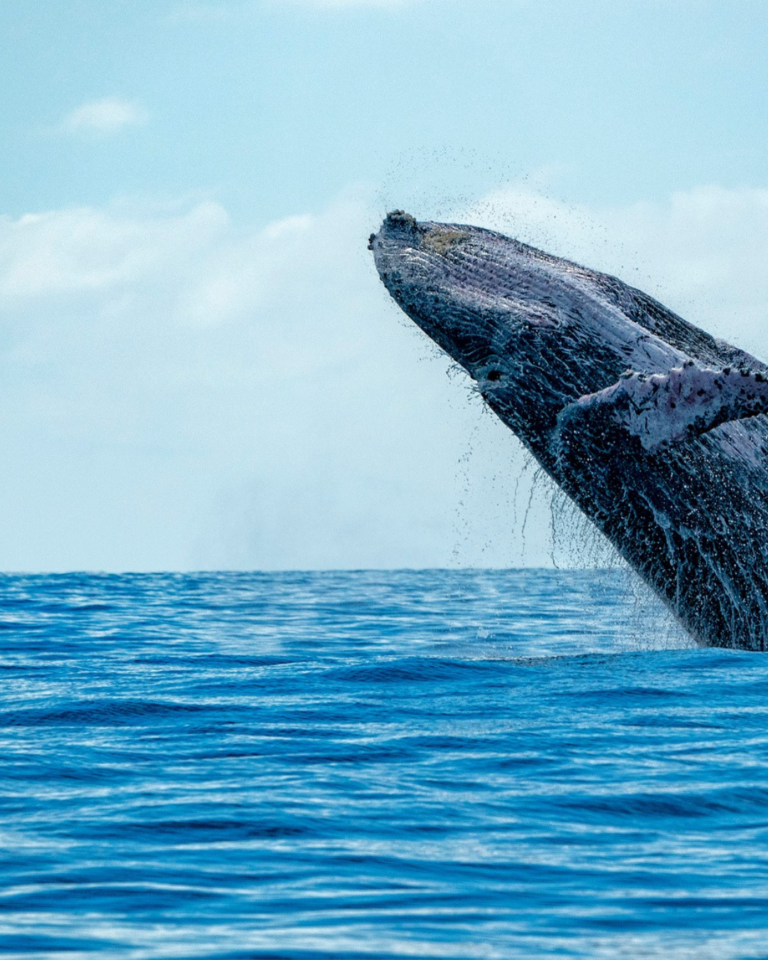 Untitled design (44) https://lilacmoments.com/wp-content/uploads/2025/11/Untitled-design-44-768x960.png