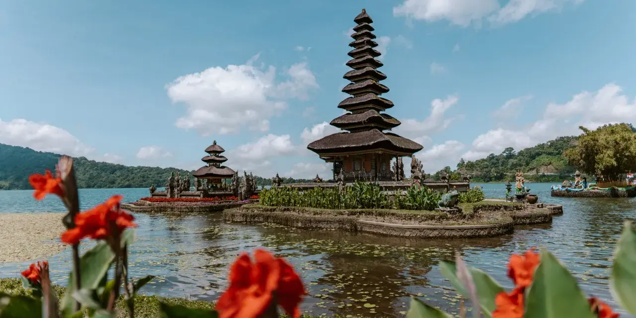 Bali Social Escape – A Community Trip