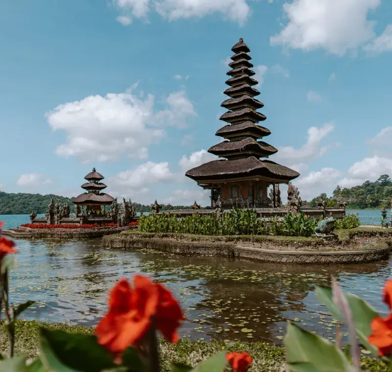 Bali Social Escape – A Community Trip