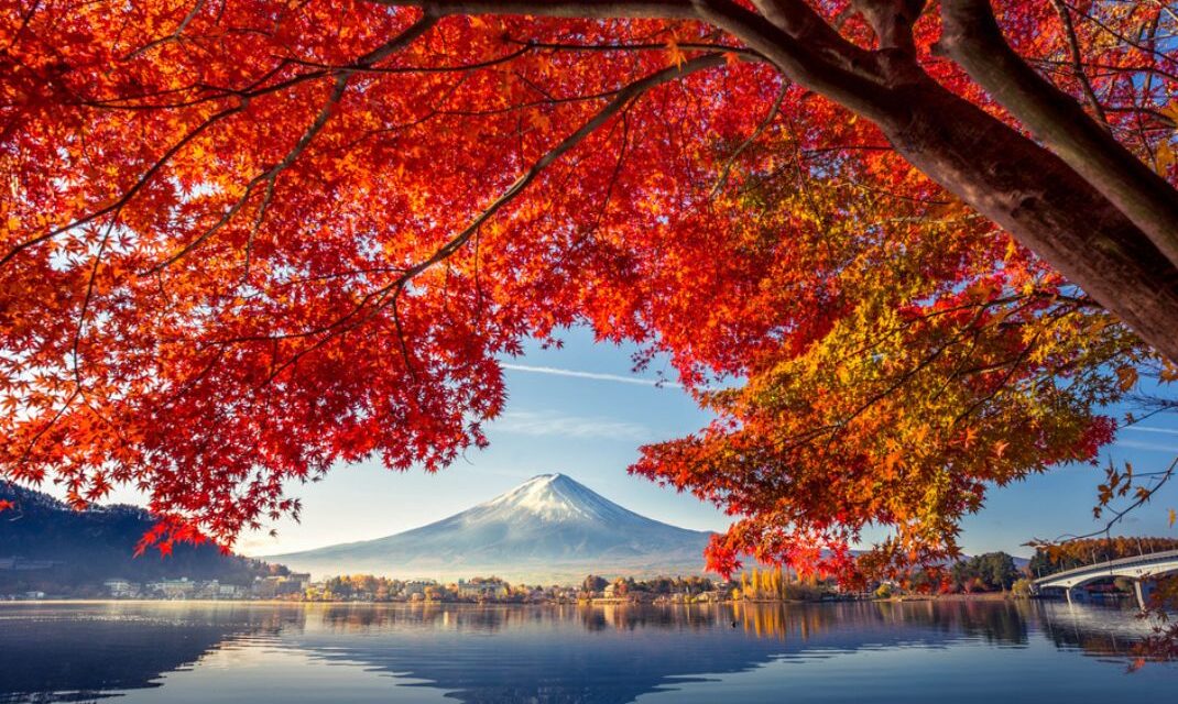 Autumn in Japan