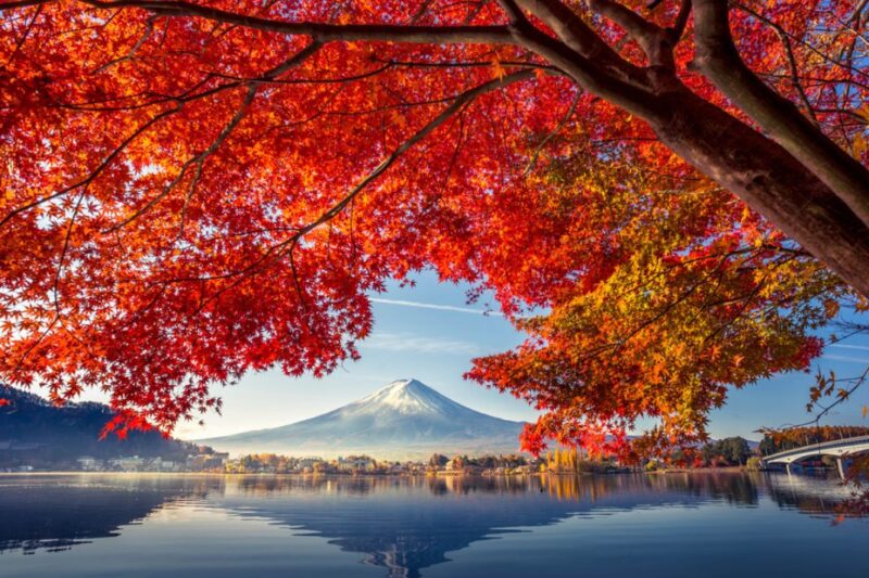 Autumn in Japan