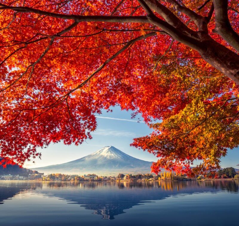 Autumn in Japan