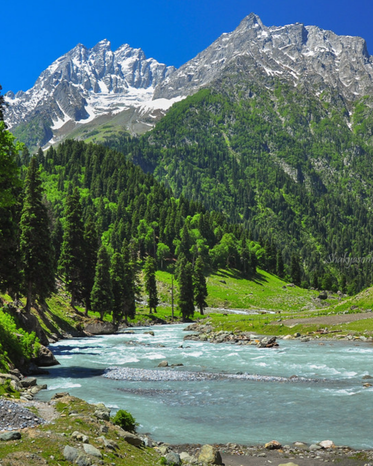 Untitled design (12) https://lilacmoments.com/wp-content/uploads/2026/04/Untitled-design-12-768x960.png