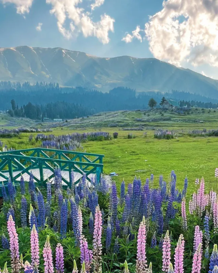 Untitled design (13) https://lilacmoments.com/wp-content/uploads/2026/04/Untitled-design-13-768x960.png