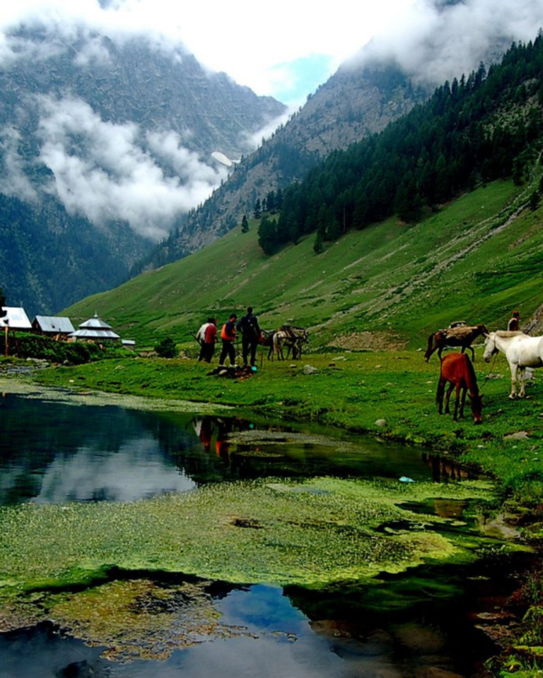 Untitled design https://lilacmoments.com/wp-content/uploads/2026/04/Untitled-design-768x960.png